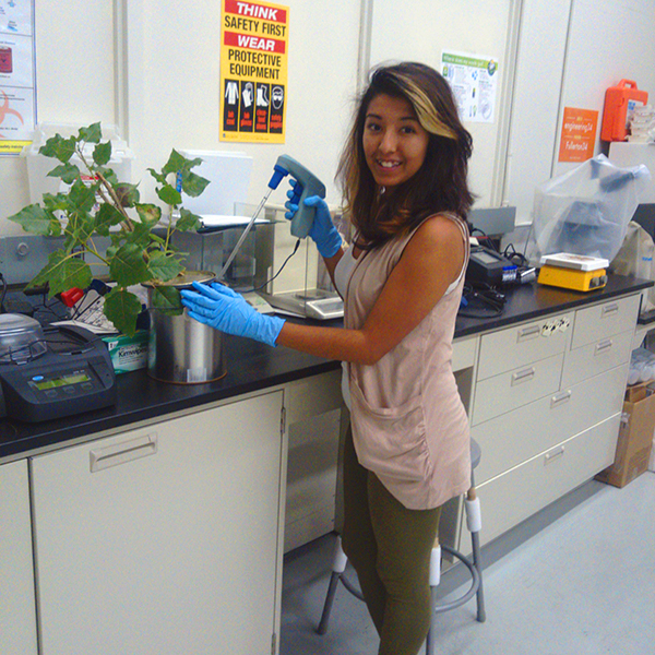 Cynde Mercado Cynde Mercado working with a plant