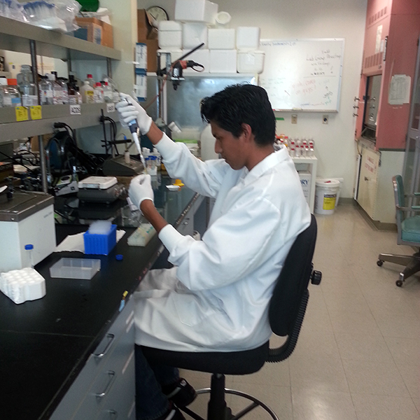 Miguel Tellez Miguel Tellez analysing peptides