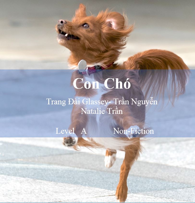 Con Chó book download