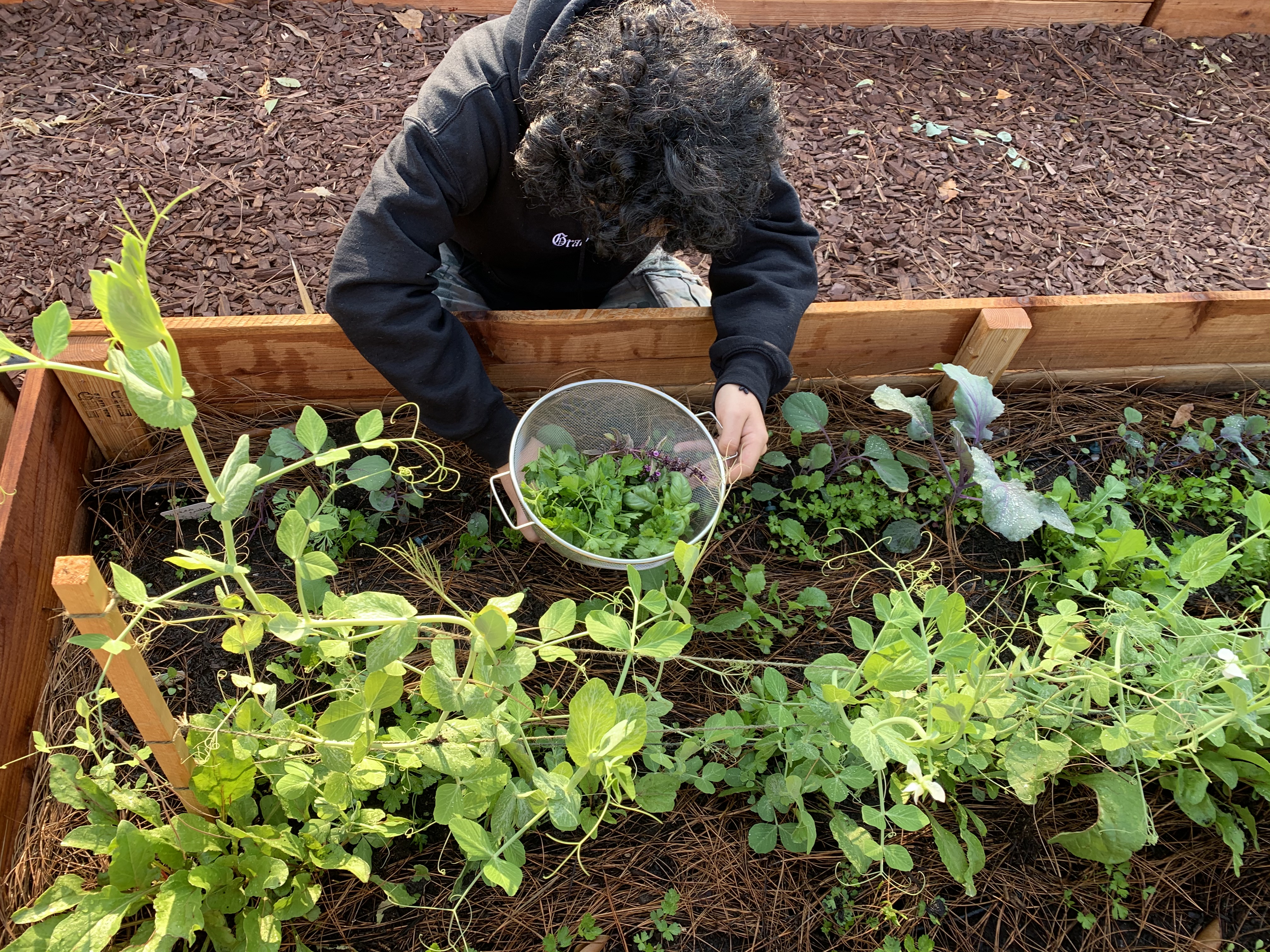 Matt Gardening