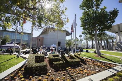 csuf plants