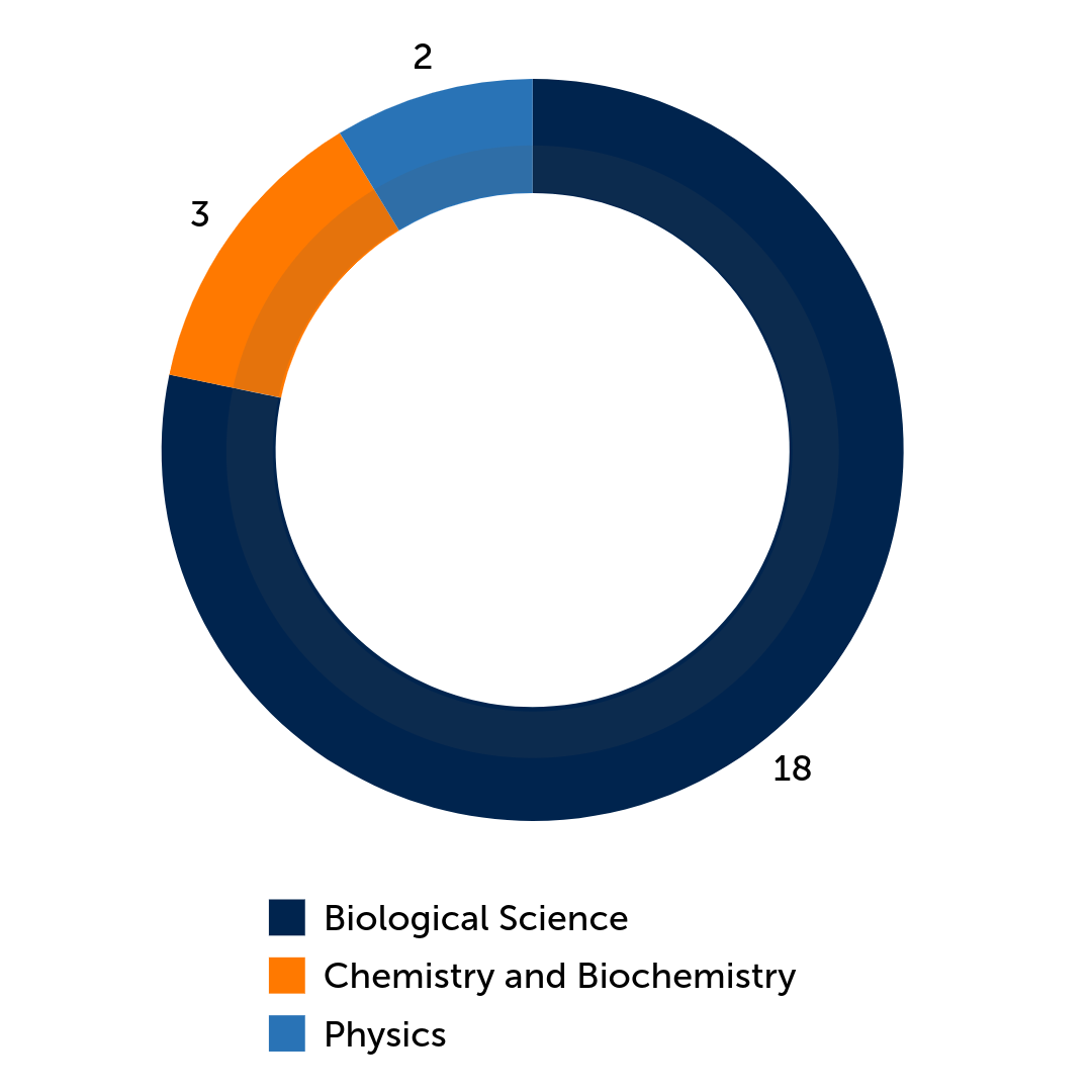 donut graph of ibc by college