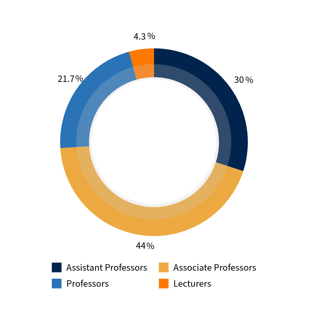 donut graph depciting faculty by rank