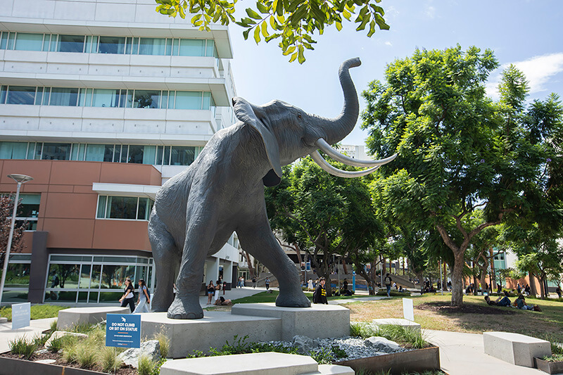 Titan the Elephant statue stands in a landscaped campus plaza at California State University, Fullerton, with academic buildings and trees in the background.