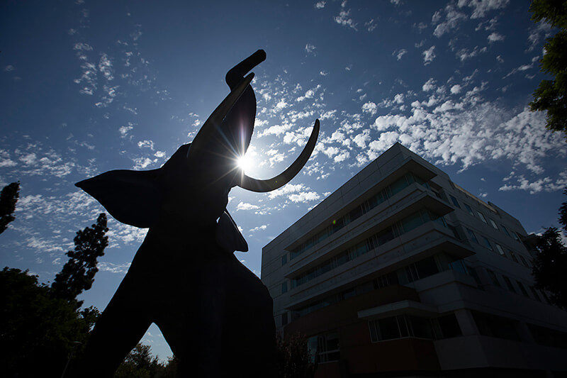 Titan the Elephant statue stands beside a campus walkway with California State University, Fullerton banners and students visible in the background.