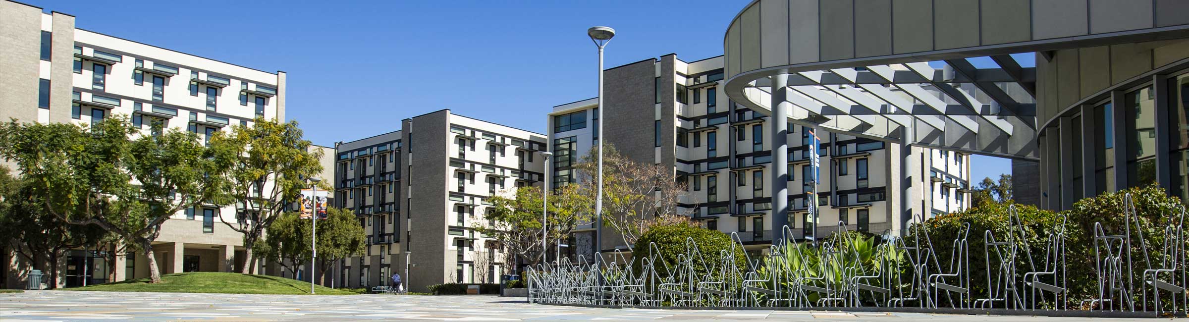 picture for this content 