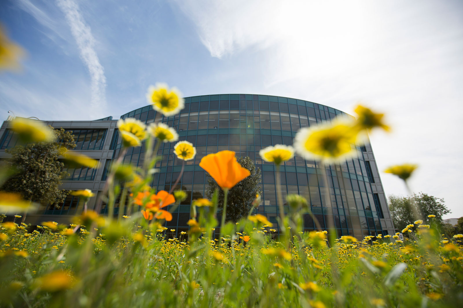 Standard Applications Style | CSUF - Web Services