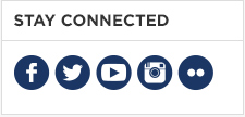 Right sidebar example showing social media icons